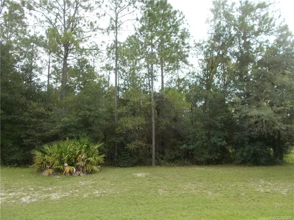 9701 N Langdon Rd, Citrus Springs, FL 34434