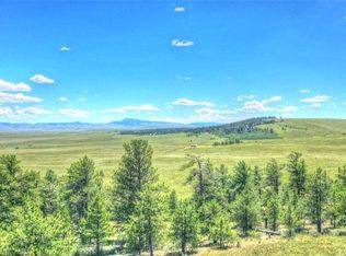 7209 Ranch Rd, Hartsel, CO 80449