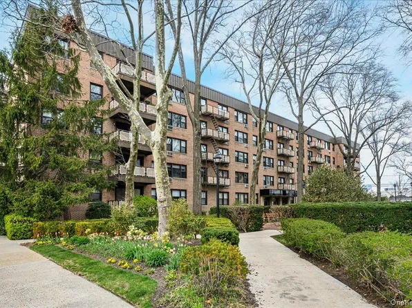 4 BIRCHWOOD #1B, Mineola, NY 11501