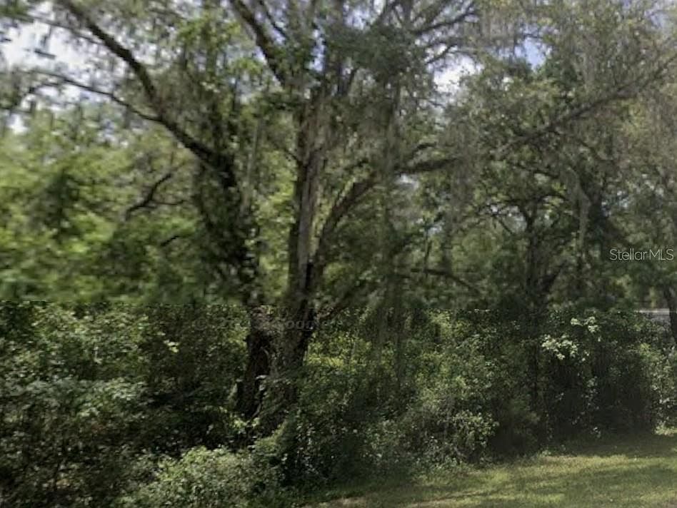 2nd image of Lake Lindsey Rd