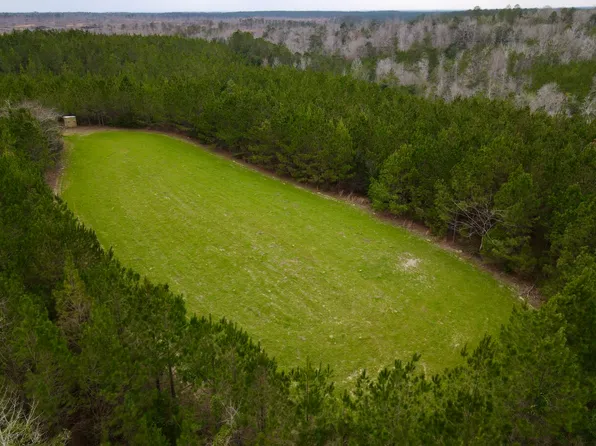 0 Highway 69, Coffeeville, AL 36524