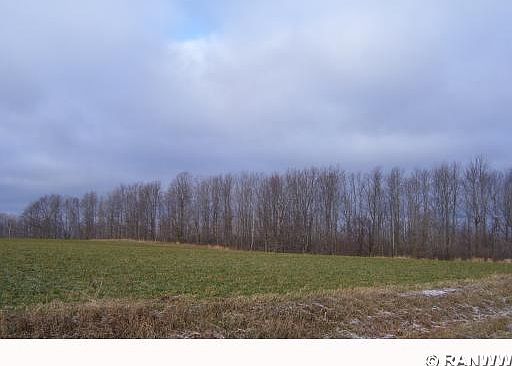 2nd image of 2542 14 1/2 Street