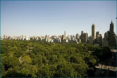 Rented by Ben & Company Inc.