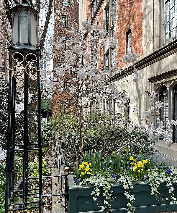 1st image of 325 E 41st St APT 703