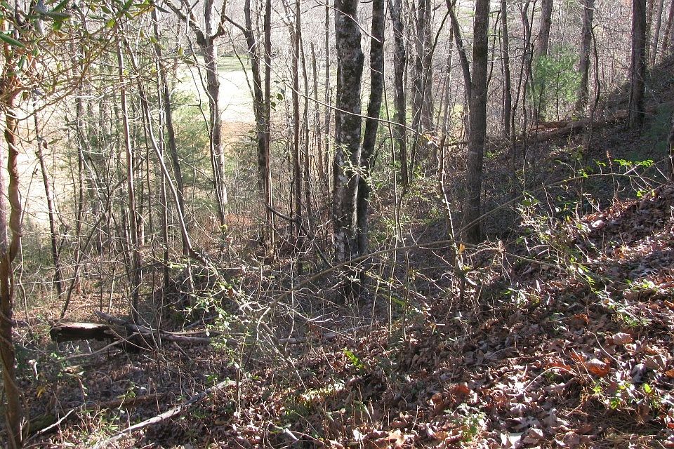 39 Pinecrest Rd, Young Harris, GA 30582 MLS 304276 Zillow