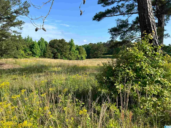 4887 County Road 59 #1.0, Verbena, AL 36091