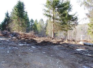 7101 Simmons Rd, Ellicottville, NY 14731