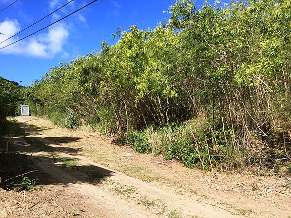 4th image of 250 Lavallee