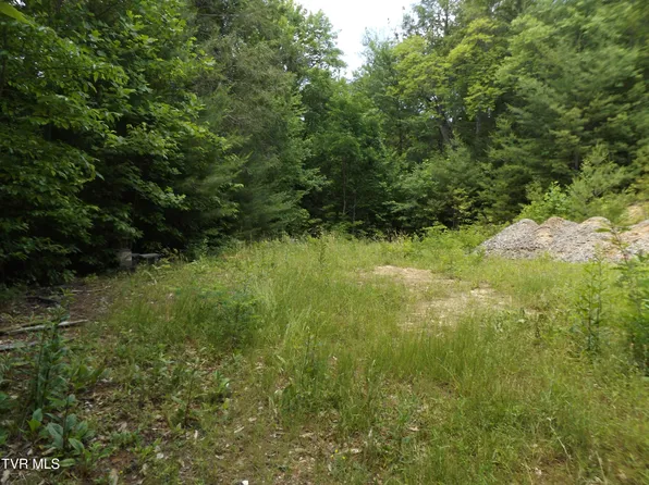 701 Heartwood Ln #2, Butler, TN 37640