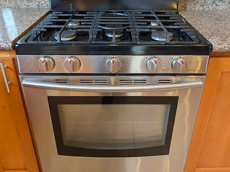 Samsung gas range.