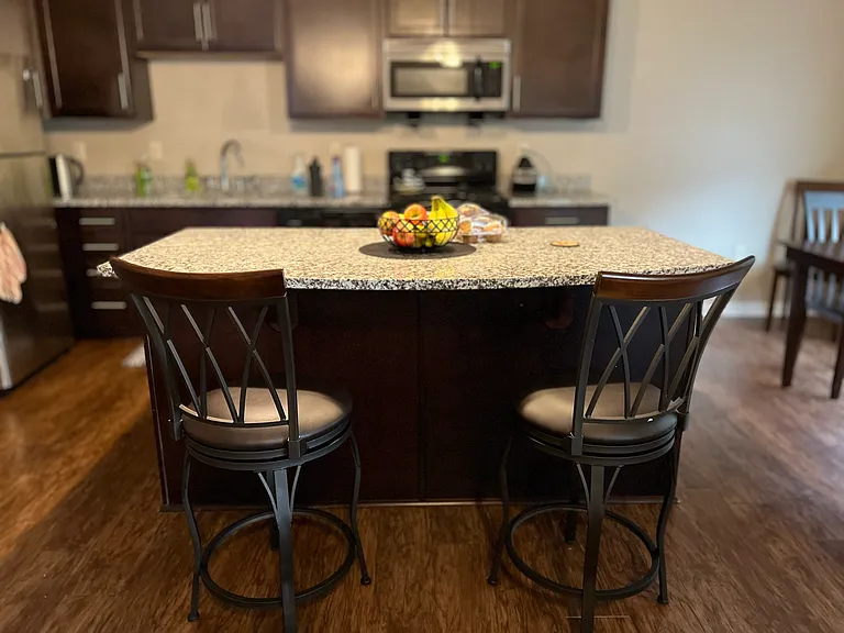 100 Starboard Side Ln #310 — Photo 8