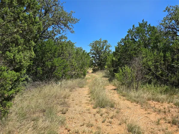 County Road 102, Santa Anna, TX 76878