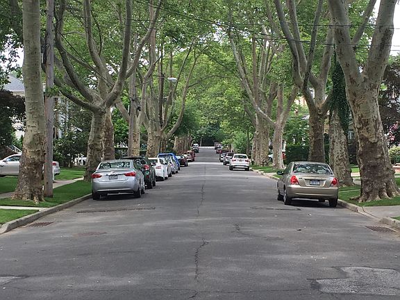 3rd image of 59 Fremont Ave