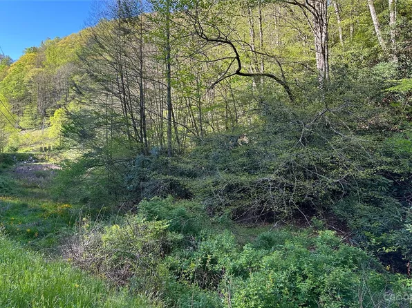 0 Melton Branch Rd, Bakersville, NC 28705
