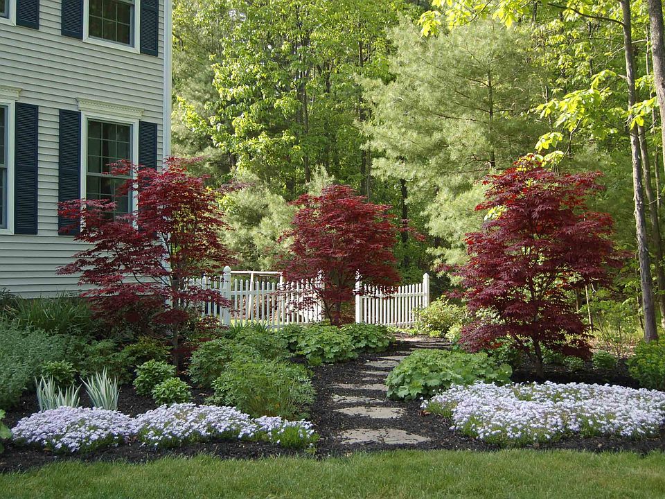 Front yard spring