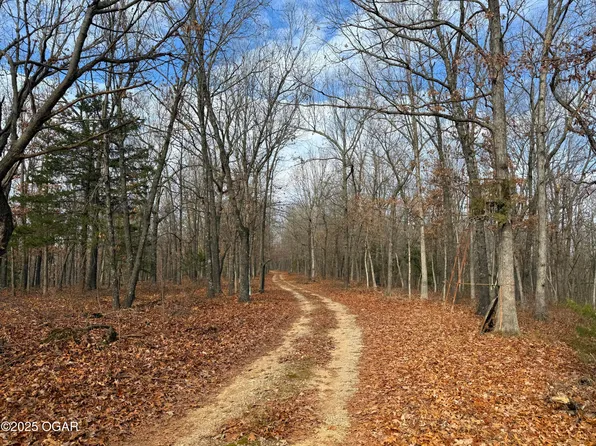 0 Farm Road 1187, Ash Grove, MO 65604