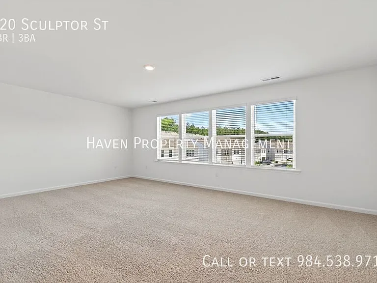 920 Sculptor St — Photo 16