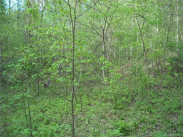 2nd image of 14811 Birnamwood Ln