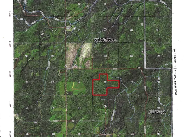 W Camp Gibbs Rd, Iron River, MI 49935