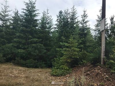 2 NE Dewatto Hills Rd, Tahuya, WA, 98588