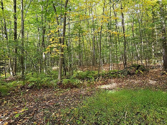 4th image of 0 Cramer Pike