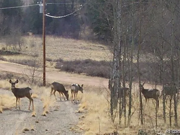 155 Folsom Drive, Jefferson, CO 80456