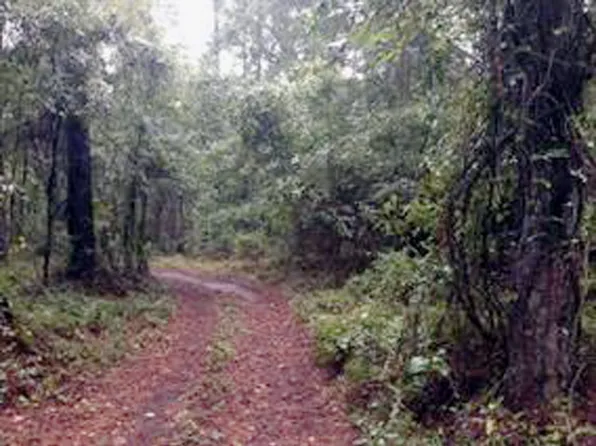 216 Meadow Dr, Monticello, FL 32344