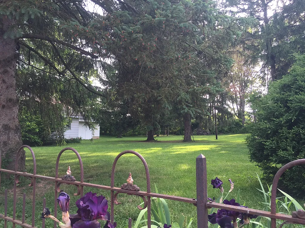 Property photo 4
