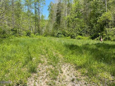 0 Henry Cemetery Rd, Monterey, TN, 38574