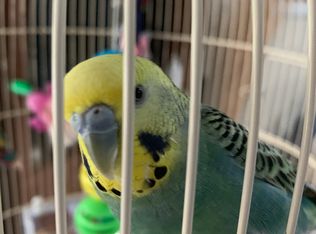 2106 Chandlers Walk Ln, Jacksonville, FL 32246