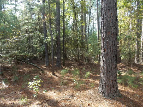 21 SADIE LANE, Lincolnton, GA 30817