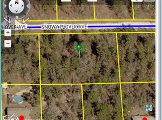 13018 Snowy Plover Ave, Weeki Wachee, FL 34614