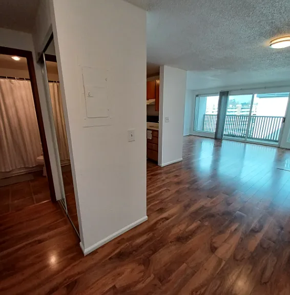 Colony Surf — Photo 18