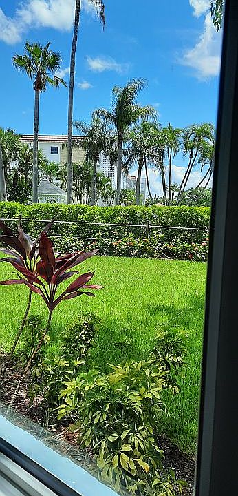 View from units side window