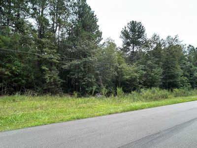 718 Camp Dantzler Rd, Hattiesburg, MS, 39401