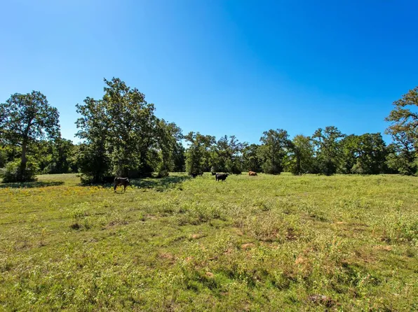 11041 Jackrabbit Ln, Bryan, TX 77808