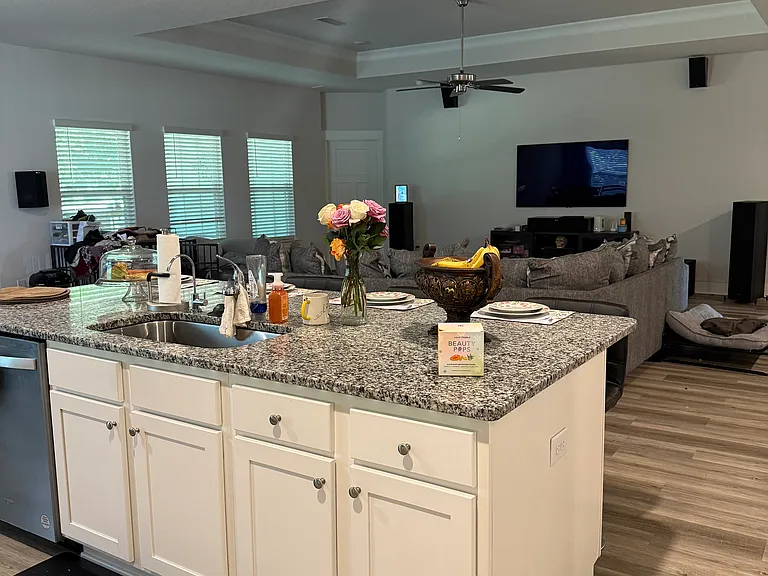 Kitchen and living room