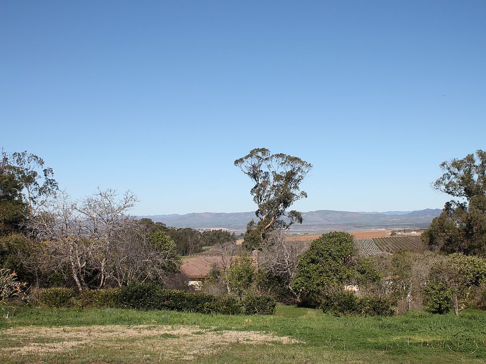 Viewof backyard and vineyard