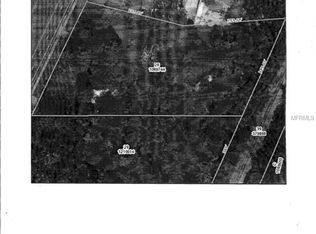 1396 Broad St, Masaryktown, FL 34604