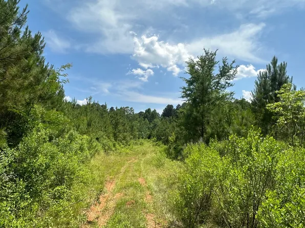 County Road 17 Loop Rd, Taylor, AR 71861