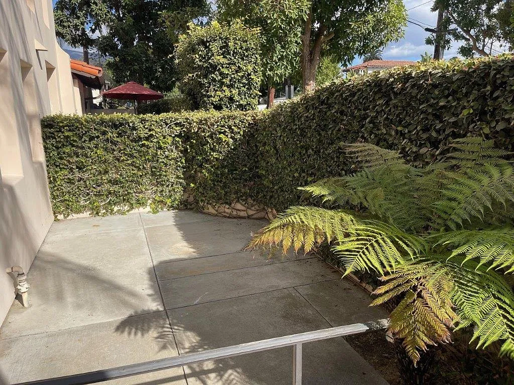 3 bed, $5,500 — Photo 2