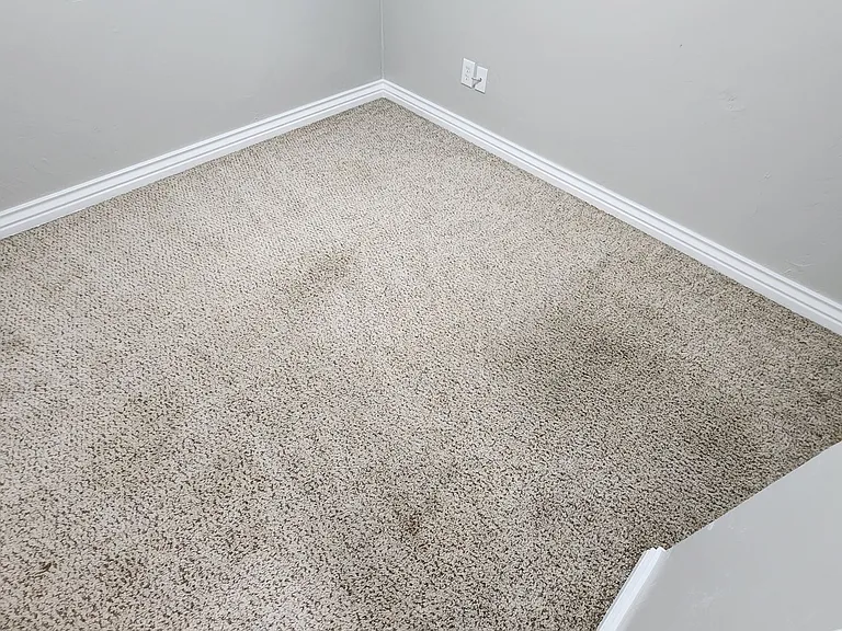 225 E Edwards St — Photo 38