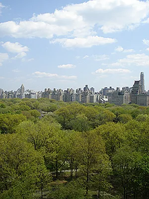 Sold by Saldo Properties | media 3