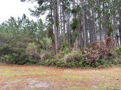 0 Wild Horse Ct, St. Marys, GA, 31558