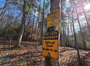 10 Wildcat Run, Suches, GA 30572