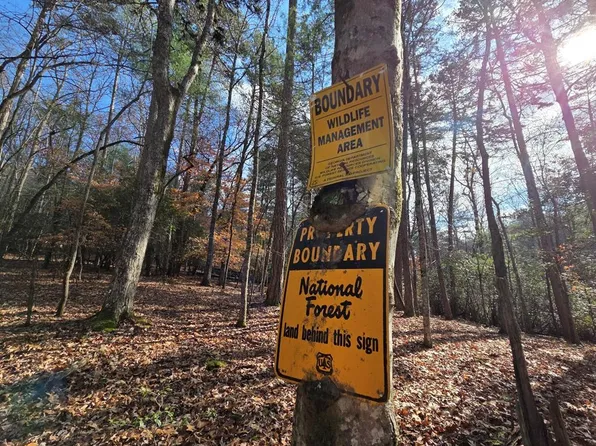 10 Wildcat Run, Suches, GA 30572