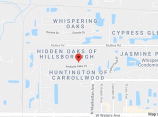 4451 Amberly Oaks Ct, Tampa, FL 33614