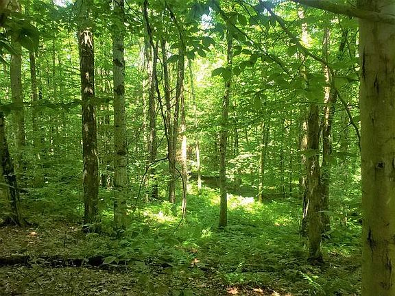 5th image of 221 Keppy Carr Rd #1