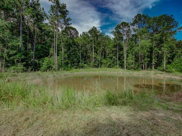 Deep Forest Trl, Navasota, TX 77868
