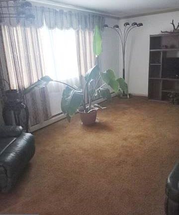 2nd image of 1272 Palomino Dr